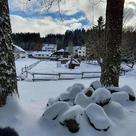 Black Forest Kuckucksnest Schönwalde Zewnętrze zdjęcie