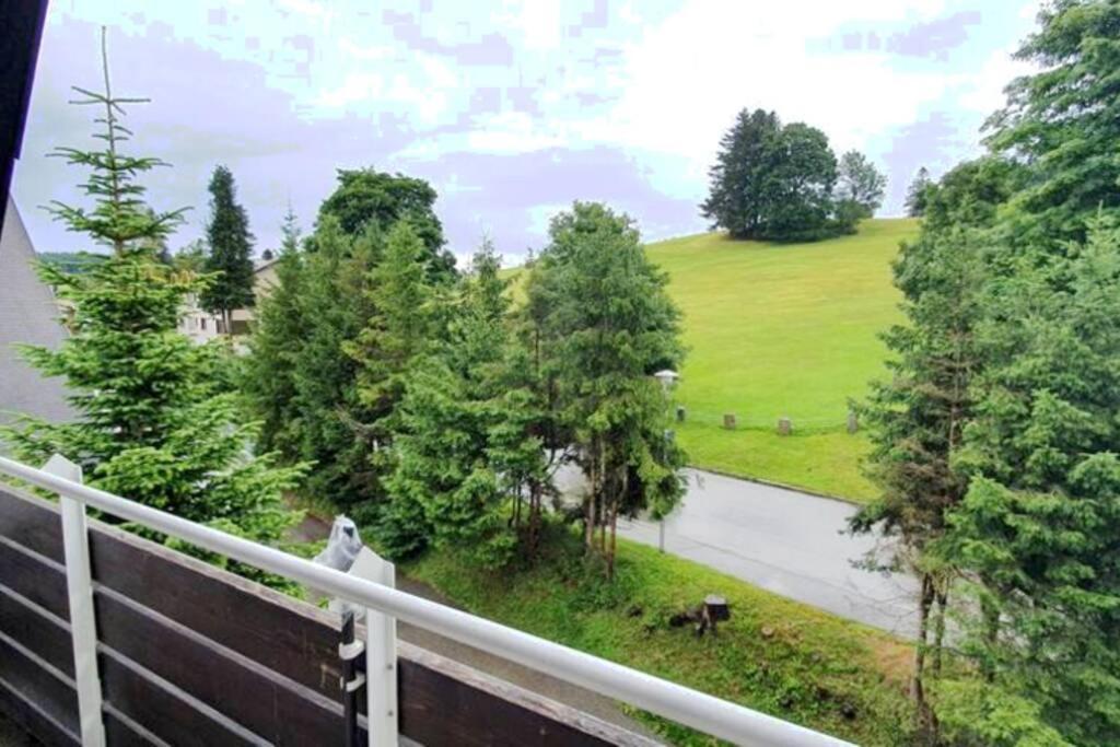 Black Forest Kuckucksnest Im Schwarzwald Apartment