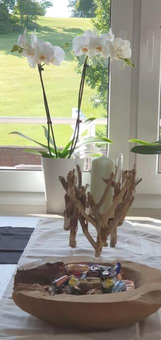 Apartment Black Forest Kuckucksnest Im Schwarzwald