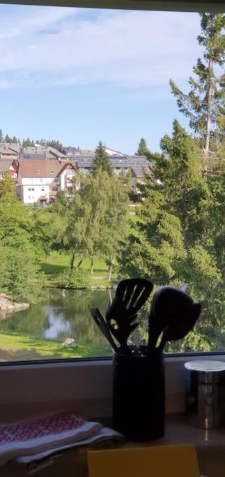 Black Forest Kuckucksnest Im Schwarzwald * Schönwalde