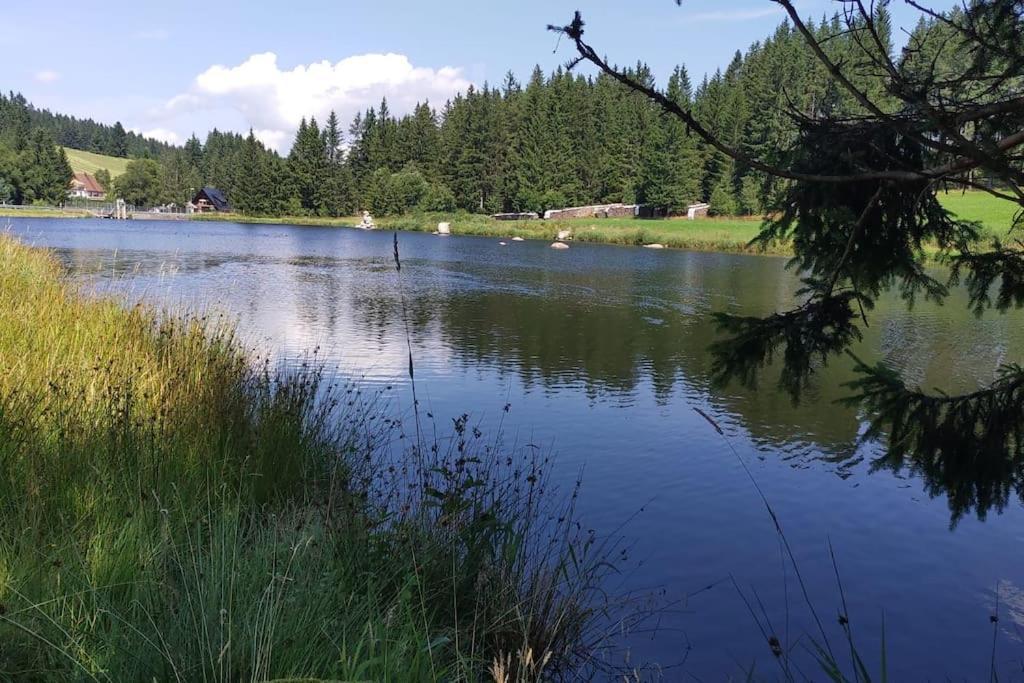 Black Forest Kuckucksnest Im Schwarzwald *