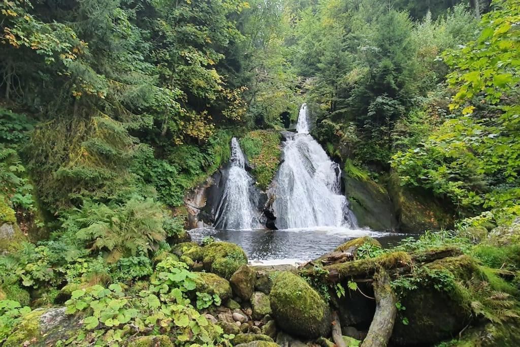 Black Forest Kuckucksnest Im Schwarzwald Apartment