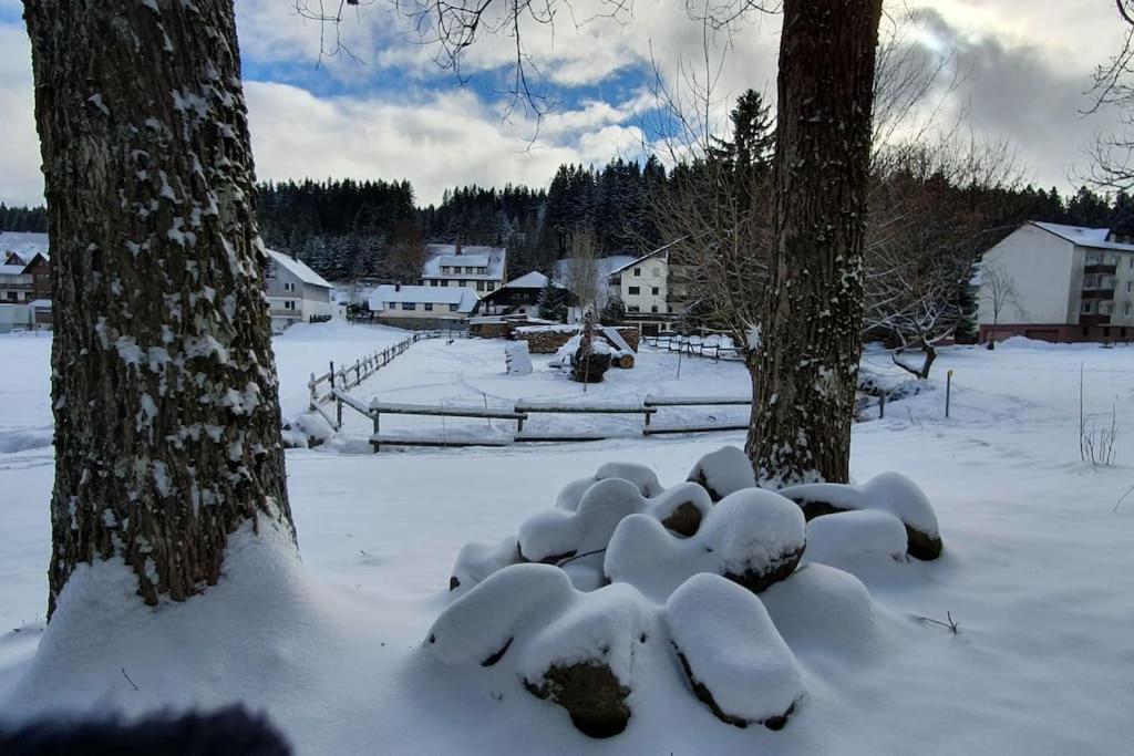 Apartment Black Forest Kuckucksnest Im Schwarzwald