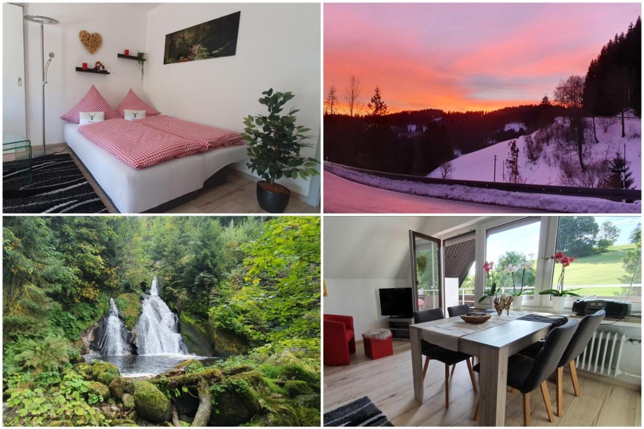 Apartment Black Forest Kuckucksnest Im Schwarzwald *
